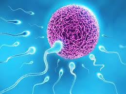 Infertility